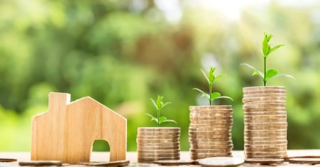 maximize your 401k