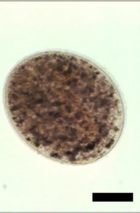 photo4