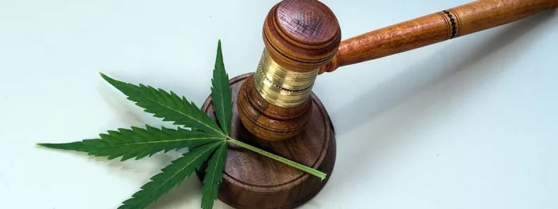 Massachusetts Marijuana Laws