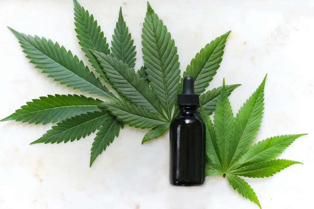 cbd-oil-pain