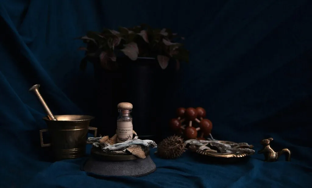 FDA and Psychedelic Research - mushrooms in a lab