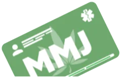 mmj 1