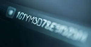 vehicle identification
