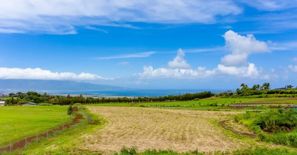 Baldwin Ranch Estates North Shore View