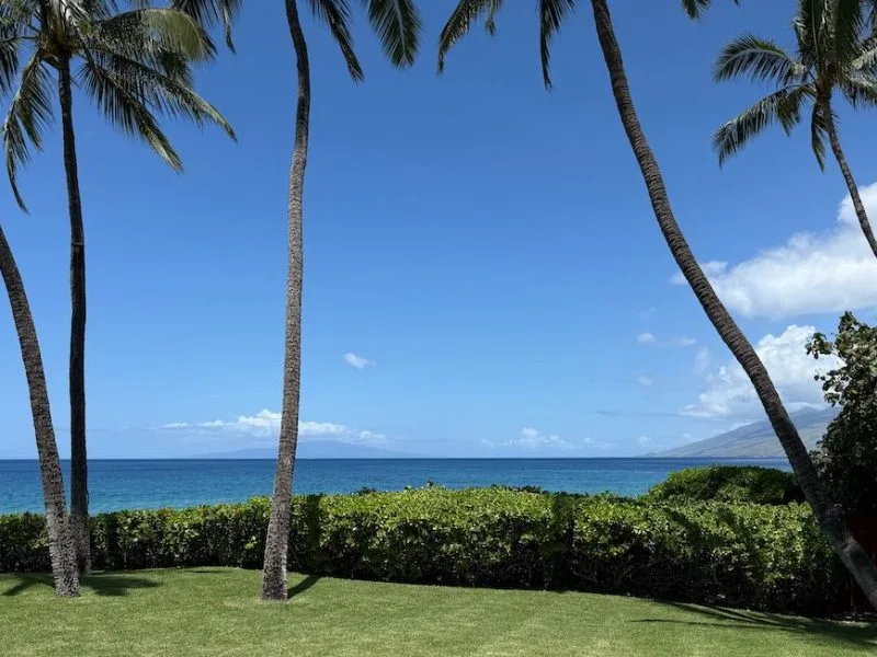 The cover photo for the August Maui Market Update and Market Statistics shows the view from the backyard of a beachfront home in South Maui. Tall palm trees and a green lawn frame a view of the ocean and the island of Lanai. It is a very blue sky with clouds blowing in the trade winds concentrated around the west maui mountains and the top of Lanai.
