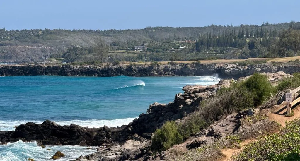January 2026 Maui Statistics and Market Update Cover Photo Kapalua