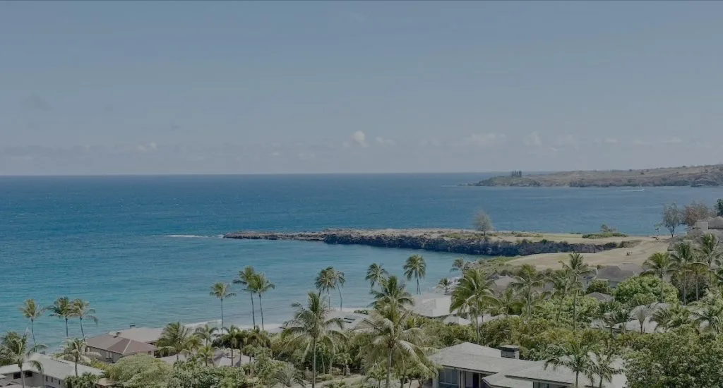 Cover Photo Maui Real Estate Market Update Q3 2025 Vol. 1