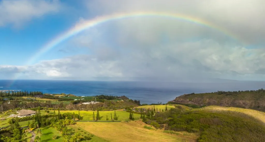 Maui-Real-Estate-Market-Update-2025-Q1-Vol-3-cover-photo