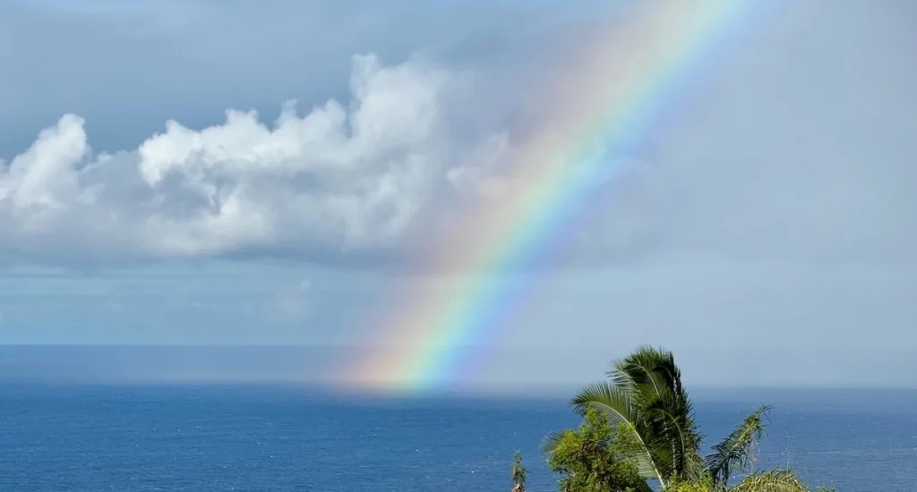October 2025 Maui Statistics and Market Update Cover Photo