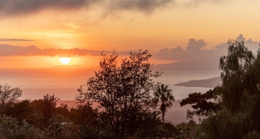 Cover Image for the September 2025 Maui Statistics and Market Update