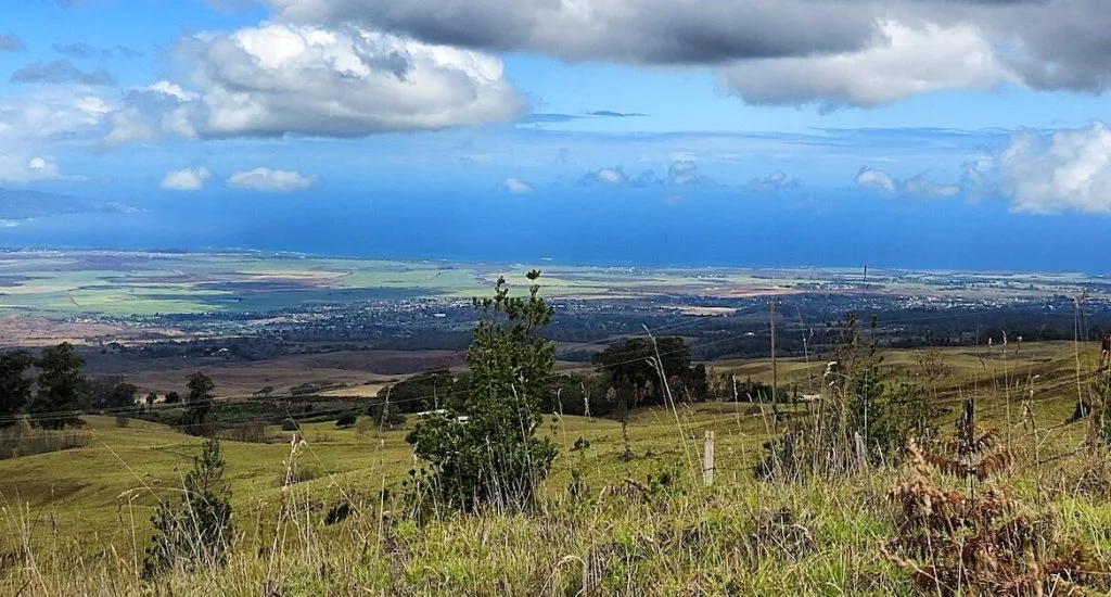 land for sale maui