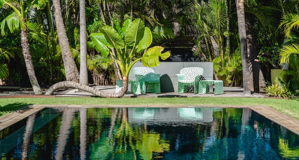 pool-palm-oasis