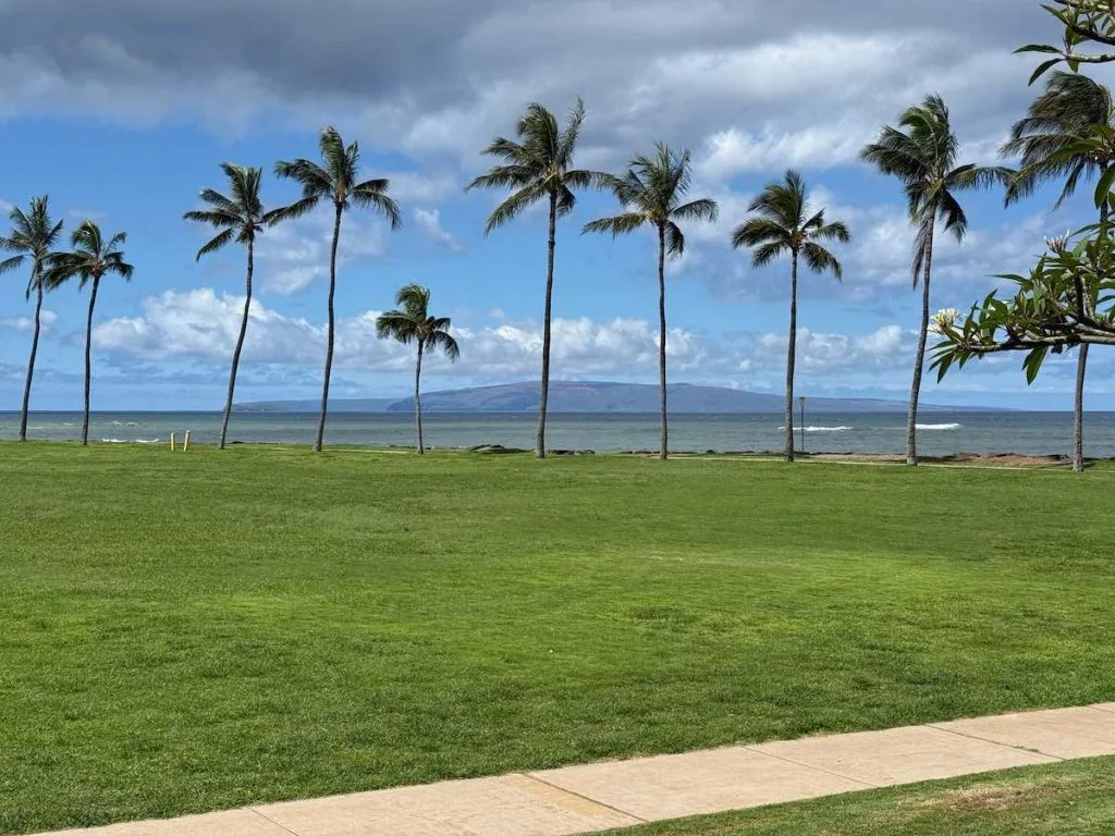 The neighborhood is bordered to the South by Kalama Park. Recreational opportunities at Kalama Park enhance the appeal of Halama Street Homes for Sale.