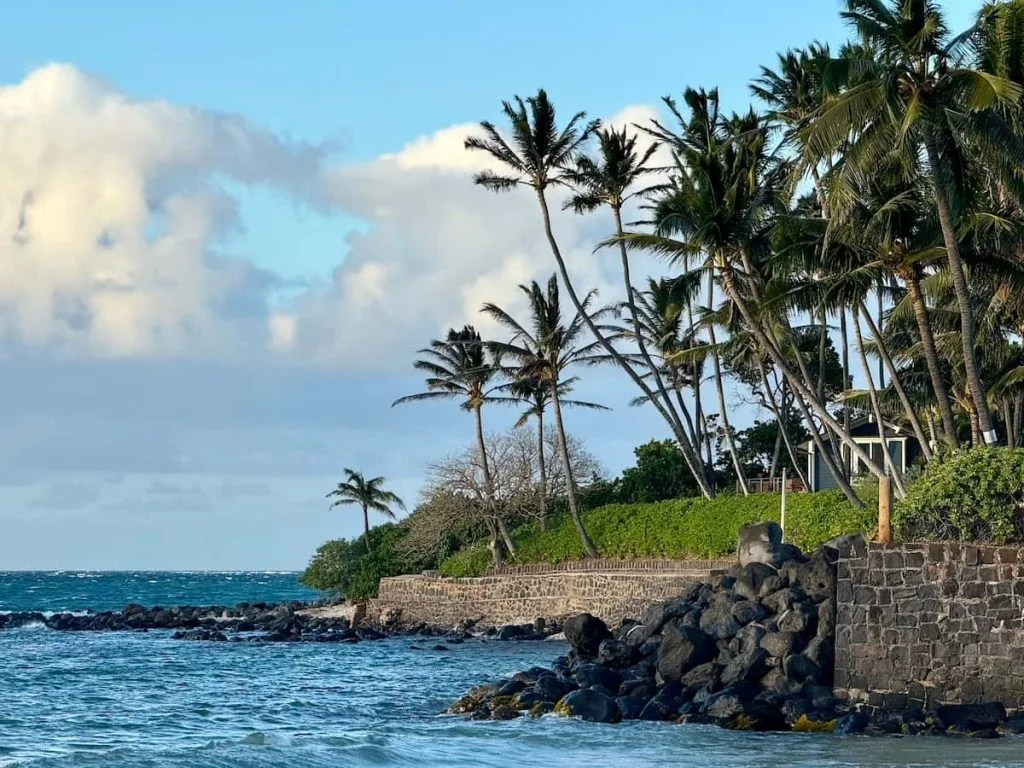 Maui Real Estate Market Update Q2 2025 Vol. 3 1 Looking down the coastline to the East of Sugar Cove in Spreckelsville.