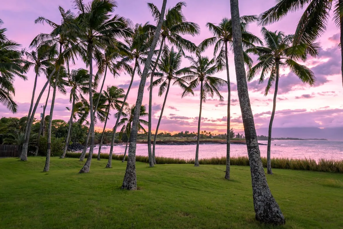 Maui Real Estate Market Update Q2 2024 Vol. 1 1 Maui Real Estate Market Update Q2 2024 Vol. 1 Beauty. Rainbow Sherbert colored skies viewed from a palm grove along the North Shore coastline.