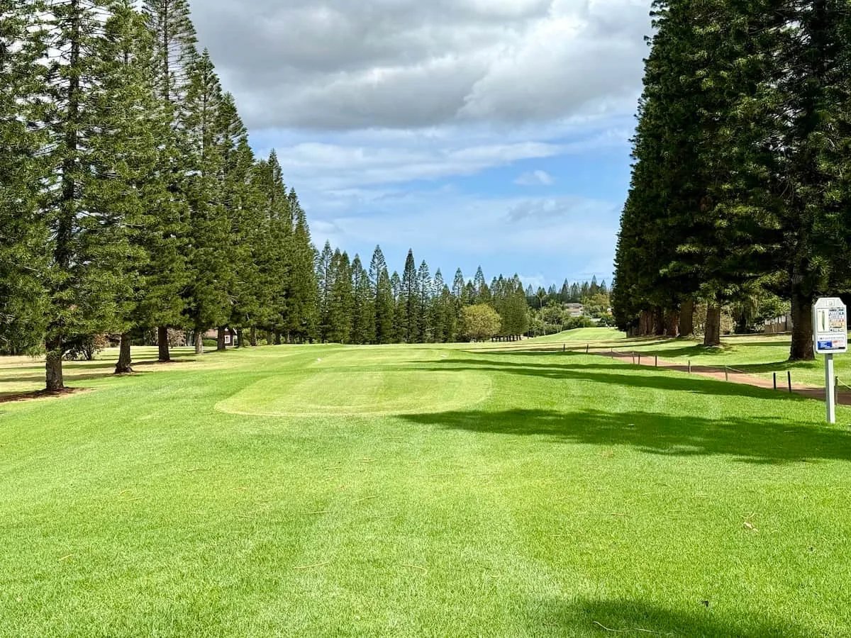 A lush, well-maintained golf fairway flanked by tall evergreen trees under a partly cloudy sky.
