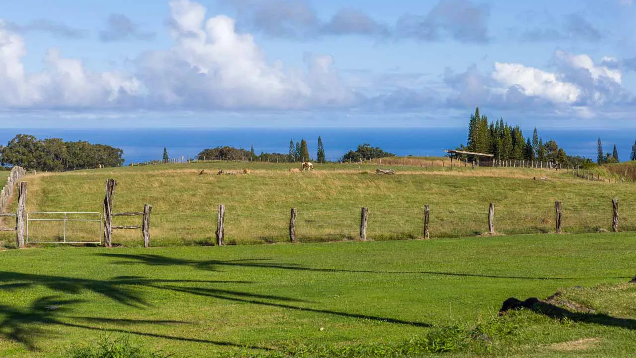 Maui Land for Sale 1