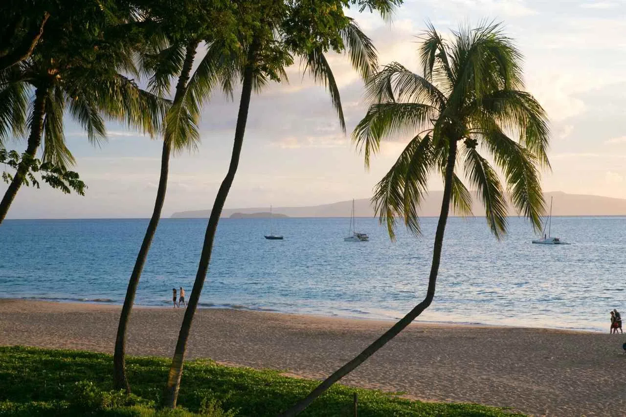 Maui Condos for Sale 4