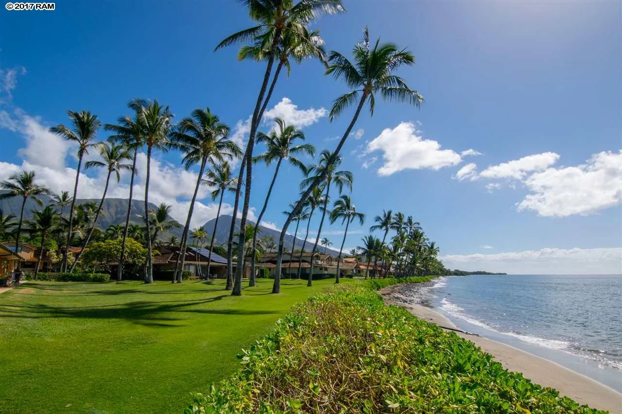 Maui Condos for Sale 5