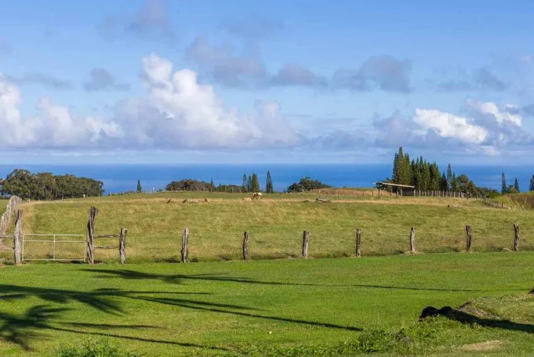 Haiku Real Estate Listings 1