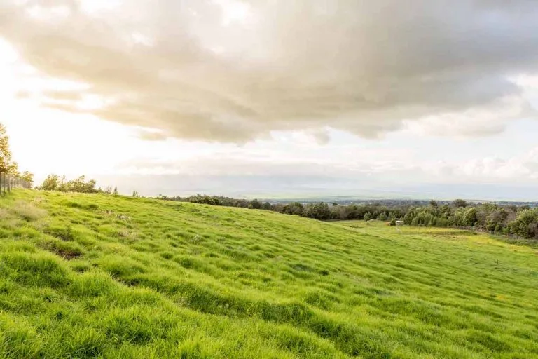 Kula Pasture land