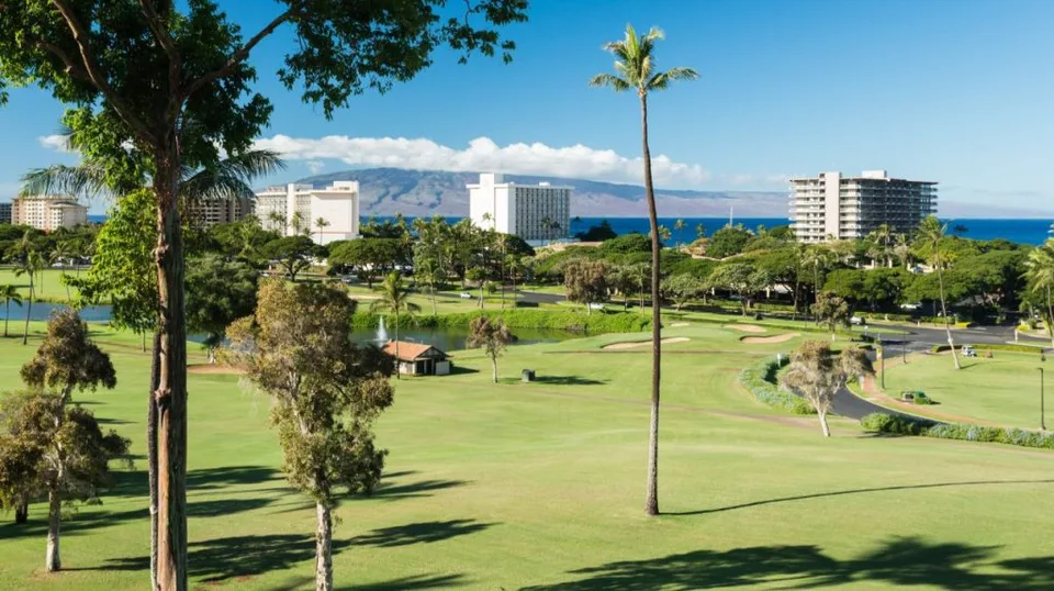 Maui Land for Sale 4