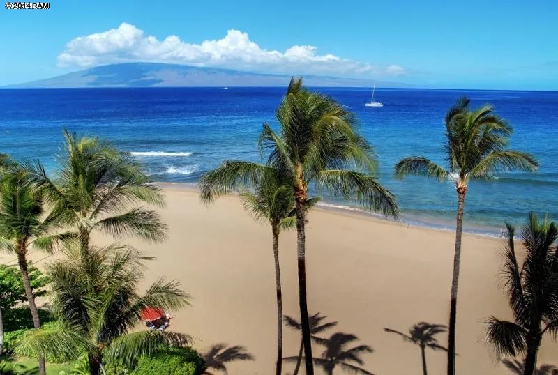 Maui Condos for Sale 3