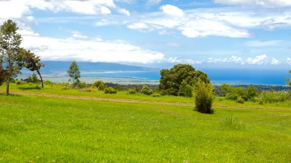 Maui Land for Sale 3