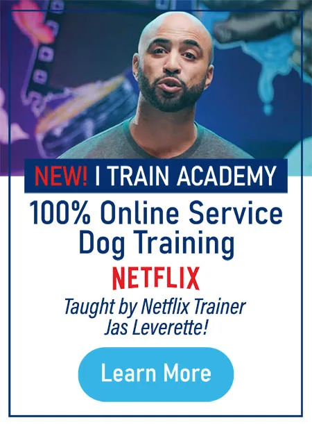 I train Academy SIDEBAR BANNER