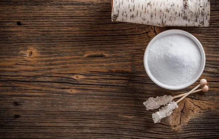 What You Should Know About Toxic Foods for Dogs