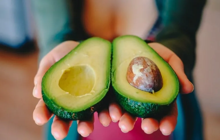 What You Should Know About Toxic Foods for Dogs