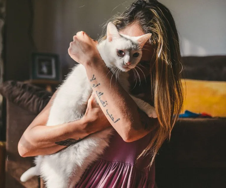 Cats & Anxiety blog - Tips for Dealing