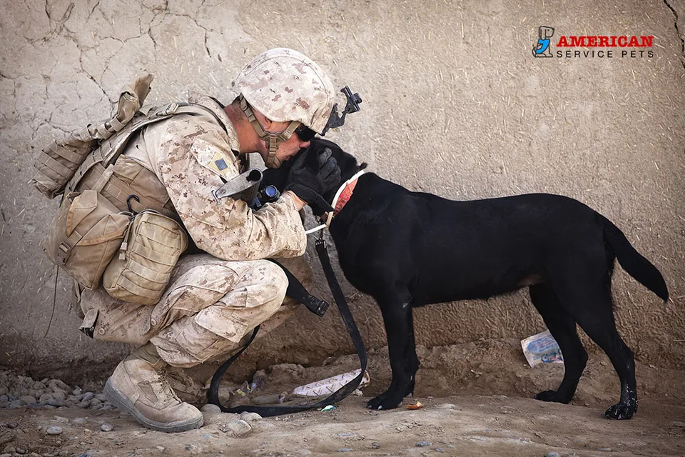 How ESAs Support Veterans