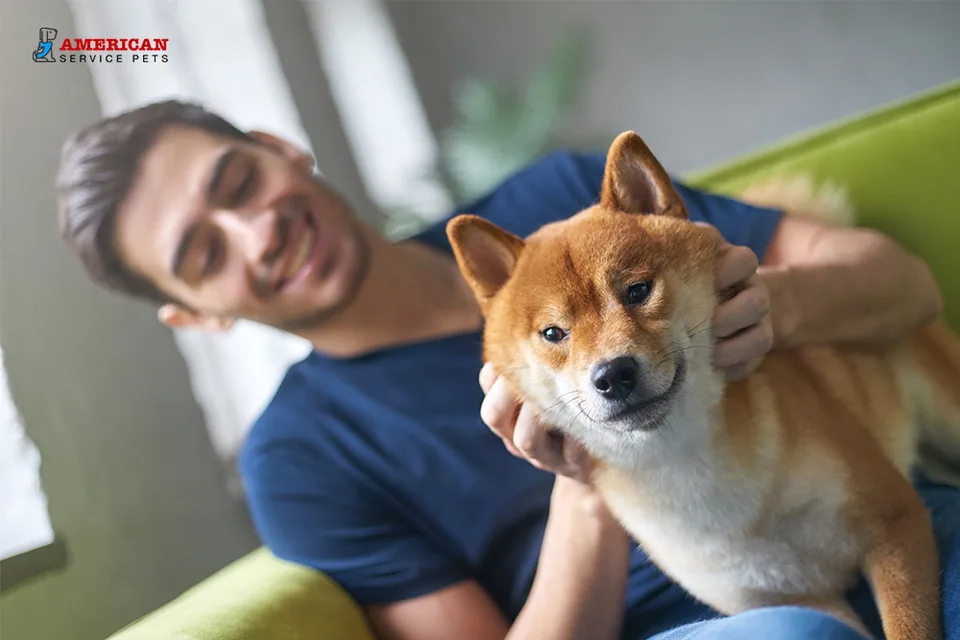 How-To Guide for Registering Your Support Dog 5 cover How to dog blog