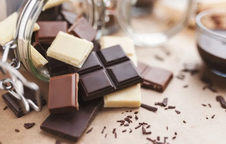 Top 8 Toxic Foods for Dogs