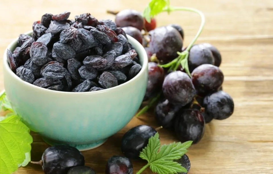 What You Should Know About Toxic Foods for Dogs