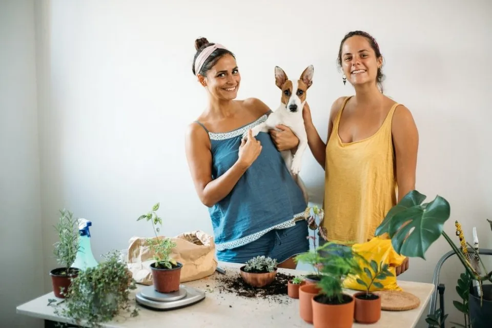 10 Toxic Plants to Avoid if You Are a Dog Owner 10 Are Plants Toxic to Dogs? 10 Plants to Avoid if You Are a Dog Owner