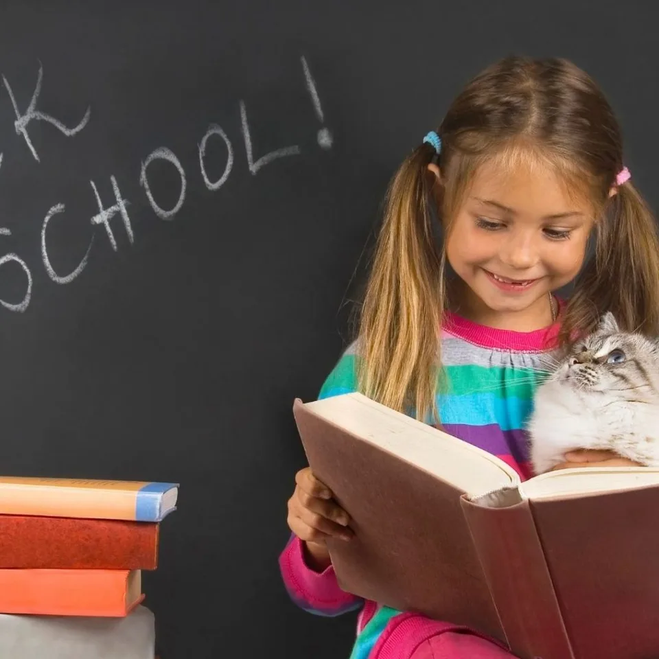 5 Ways Emotional Support Animals Help Kids 6 Emotional Support Animals Help Kids Adjust