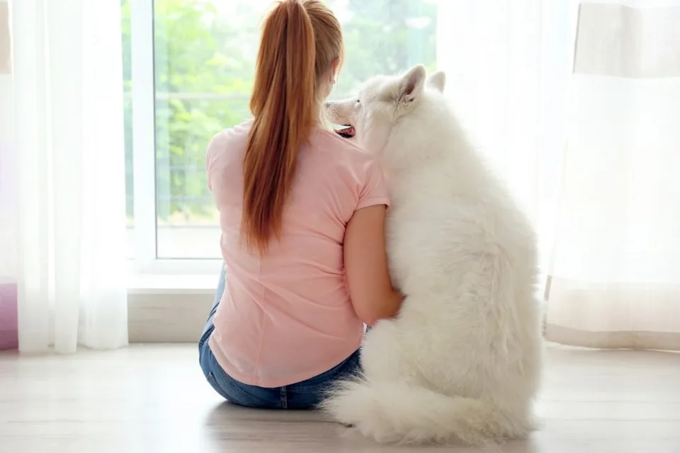 5 Ways to Prevent Separation Anxiety in Dogs 2 5 Ways to Prevent Separation Anxiety in Dogs