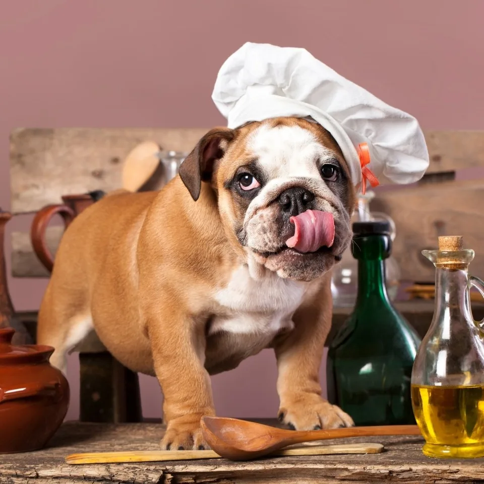 9 DIY Healthy Fall Treats for Dogs 10 9 DIY Healthy Fall Treats for Dogs