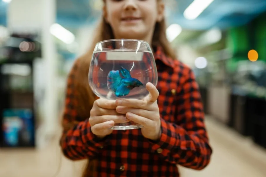 Top 10 Best Pets For Kids 4 Top 10 Best Pets For Kids