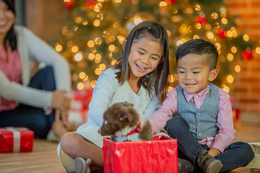 Pros and Cons of Giving Pets as Gifts 5 Giving Pets As Gifts: Pros and Cons