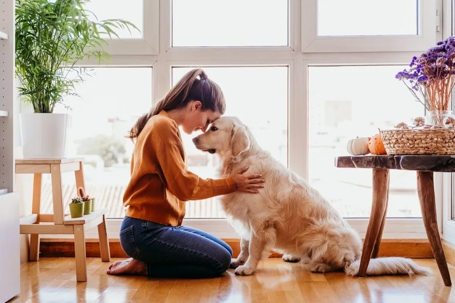 Service Dogs and Suicide Prevention