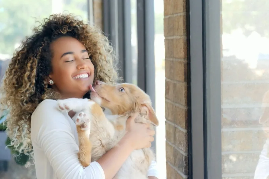14 Ways to Be A Responsible Dog Owner 2 14 Ways To Be A Responsible Dog Owner