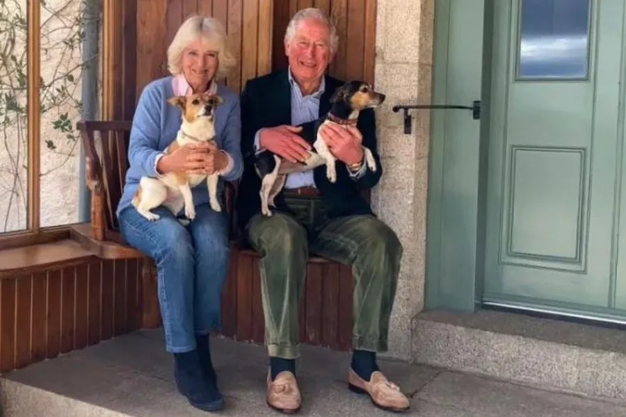 The New Royal Dogs of Buckingham Palace