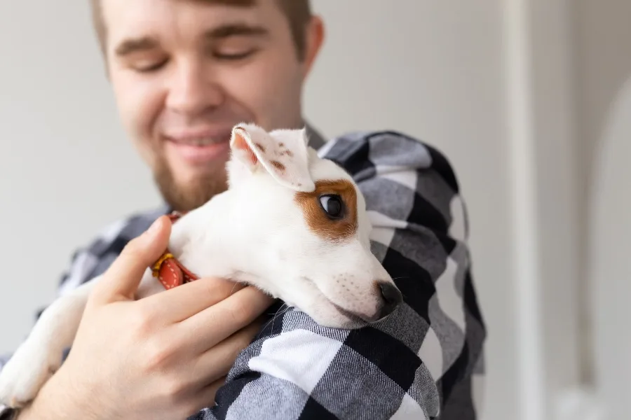Support Animals Replacing Therapists