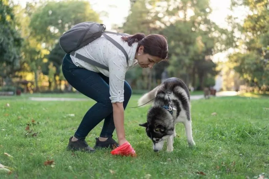 What’s the Most Eco-Friendly Way to Pick up Dog Poop? 7 Eco-Friendly Way to Pick up Dog Poop