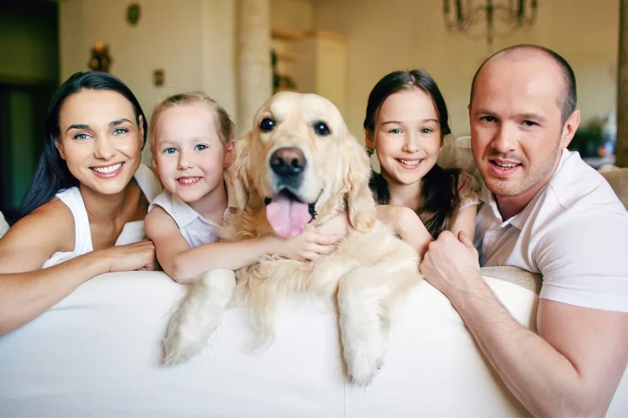 Heartwarming Stories of Extraordinary Pets!