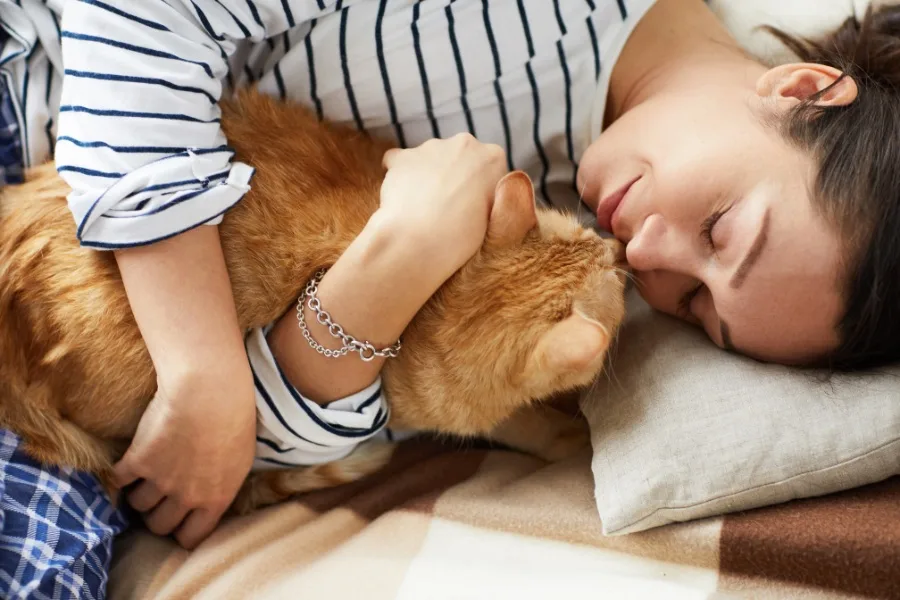 Do Cats REALLY ... ?