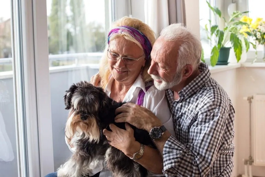 5 Surprising Best-Tempered Dog Breeds for Seniors 14 Service Dogs for Senior Cover